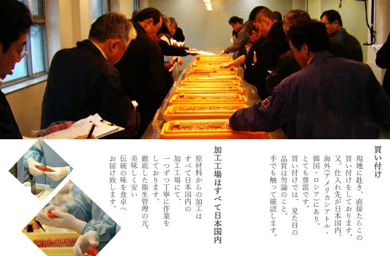 名物博多明太子(無色)明太子 一本物 特小サイズ