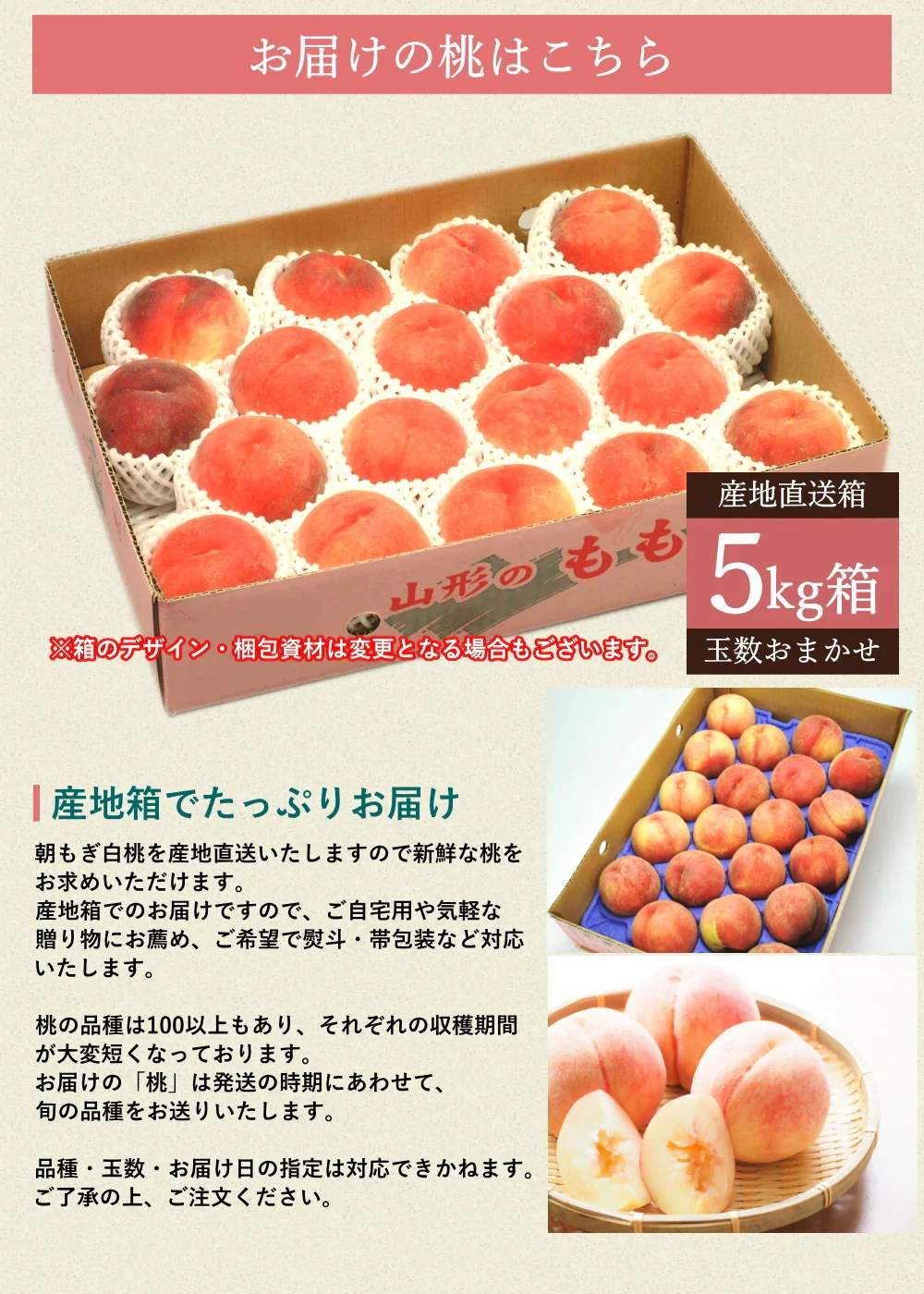 【8月中旬頃-9月中旬頃ご注文受付順次】白桃 約5kg 13-20玉前後 もも ピーチ モモ 桃 くだもの フルーツ ご家庭用 山形産