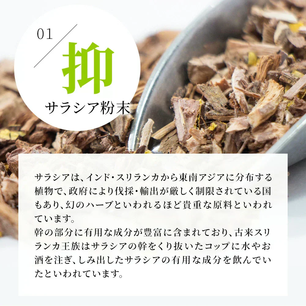 サラシアブラック《約3ヶ月分》炭 チャコール配合 サプリ サプリメント ダイエット チャコールクレンズ ダイエットサプリ