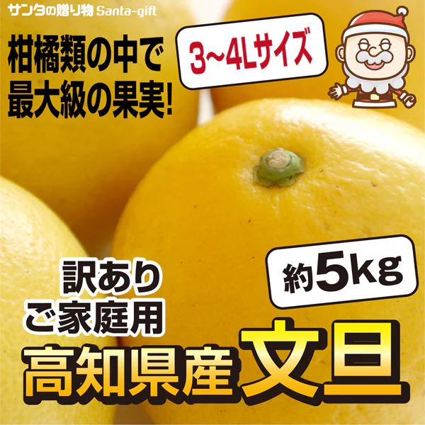 超目玉価格 大玉 4L-3Lサイズ 文旦 訳あり 5kg 送料無料 高知県産 土佐文旦