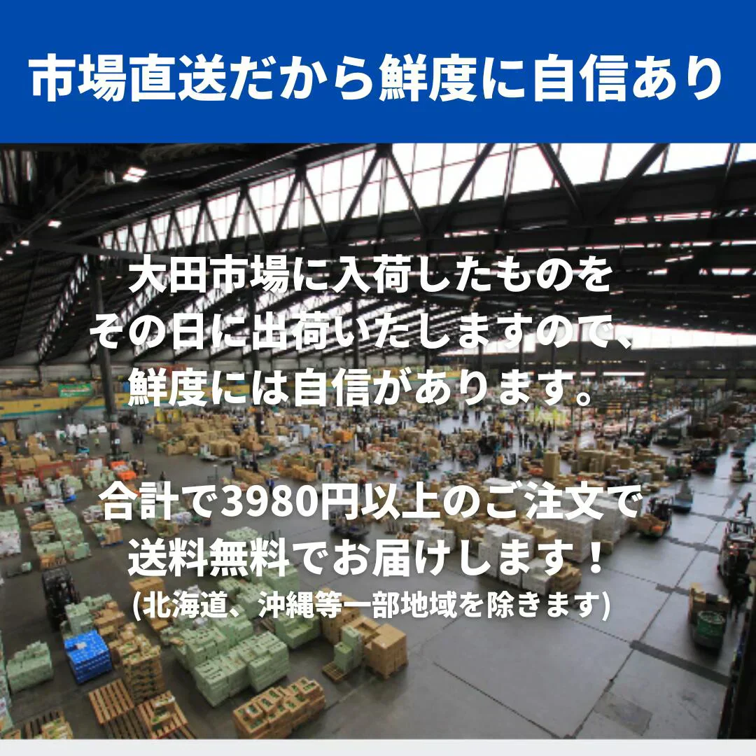 訳あり国産松茸 市場直送でお届け たっぷり堪能できる約200g入り