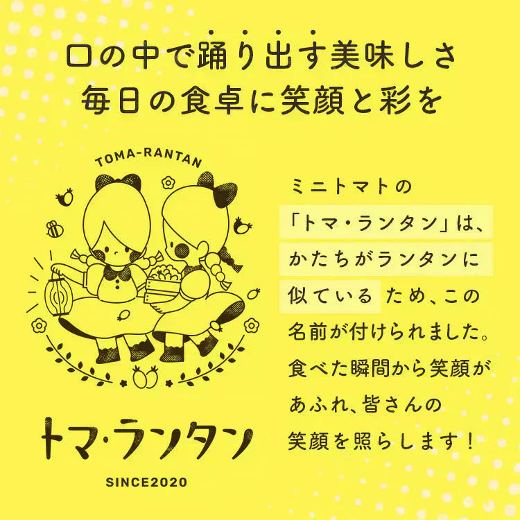 【予約】【2026年1月から順次発送】1kg トマランタン 笑顔溢れる甘さ♪超濃厚ミニトマト!【東北配送不可】