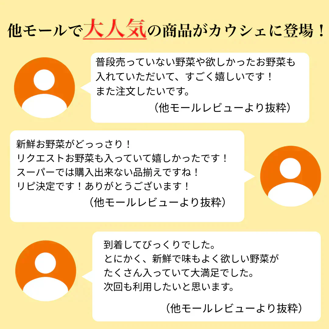 【大田市場直送】全国から仕入れるこだわった野菜セット!おまかせ 15品詰め合わせ!【送料無料】