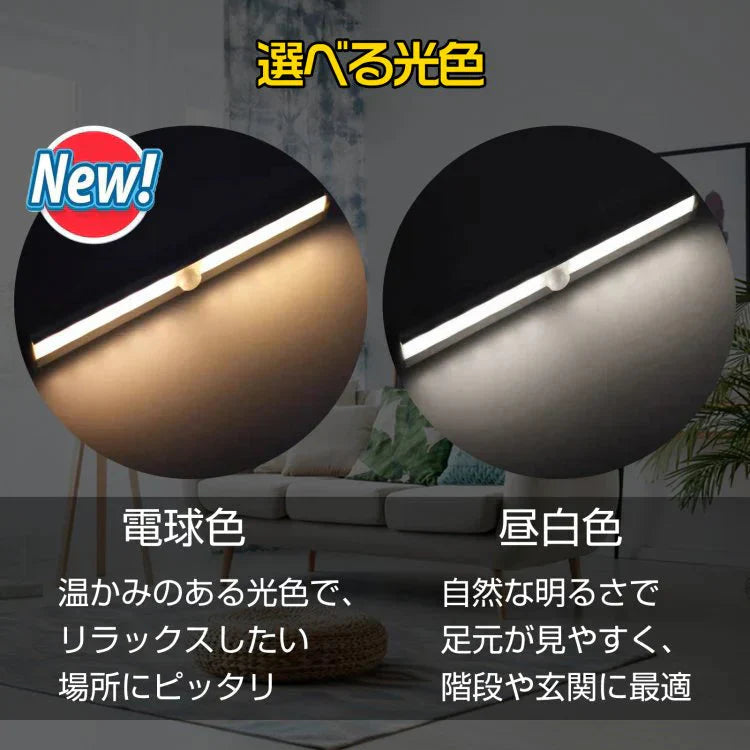 LEDセンサーライト昼白色 電池式 人感センサー 感知 自動 照明 ライト sl073