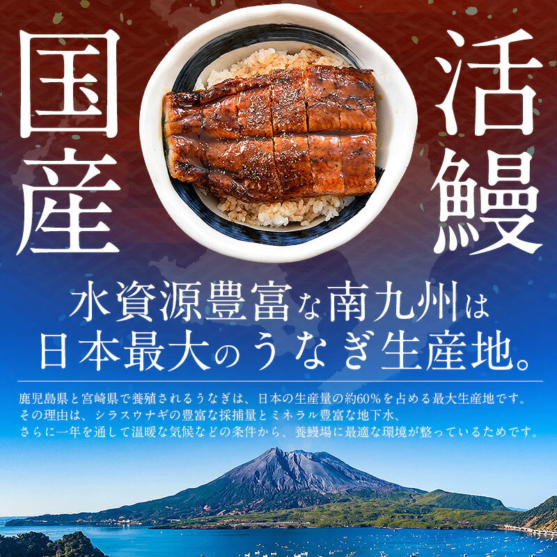 鰻 うなぎ 蒲焼き 国産 無頭 鰻蒲焼 大サイズ 165g前後×3尾 ウナギ 美味しい 大きい うなぎの蒲焼き 鰻の蒲焼 うなぎ蒲焼 ウナギ蒲焼き 国産うなぎ 贈り物 旬の味覚 グルメ 食べ物 母の日 プレゼント ギフト2023 花以外 実用的 母の日ギフト