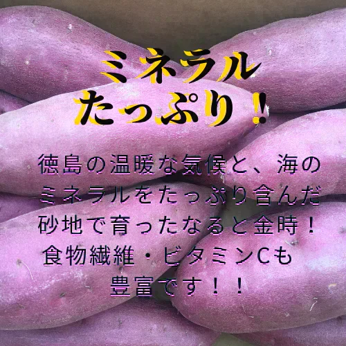 なると金時 訳あり 家庭用 5キロ 徳島県産