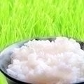 無洗米 お試し米 送料無料 無洗米おためしパック 345g×1個入り 0501