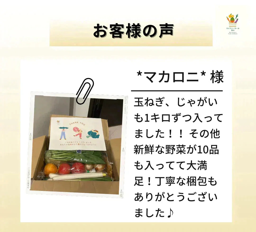【2022年度 国内No.1獲得!】 クール便 市場直送! 野菜セット 詰め合わせ 80サイズ箱 【 福袋 】玉ねぎ にんじん じゃがいも みかん 桃 シャインマスカット ギフト 食品 贈答 料理 フルーツ 果物