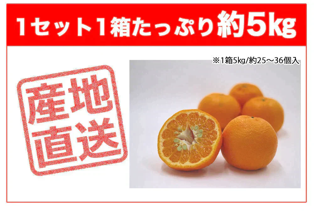 ポンカン 愛媛 箱買い 5kg 送料無料 ご家庭用 サイズミックス みかん 蜜柑 産地直送 愛媛県産 YDF-002