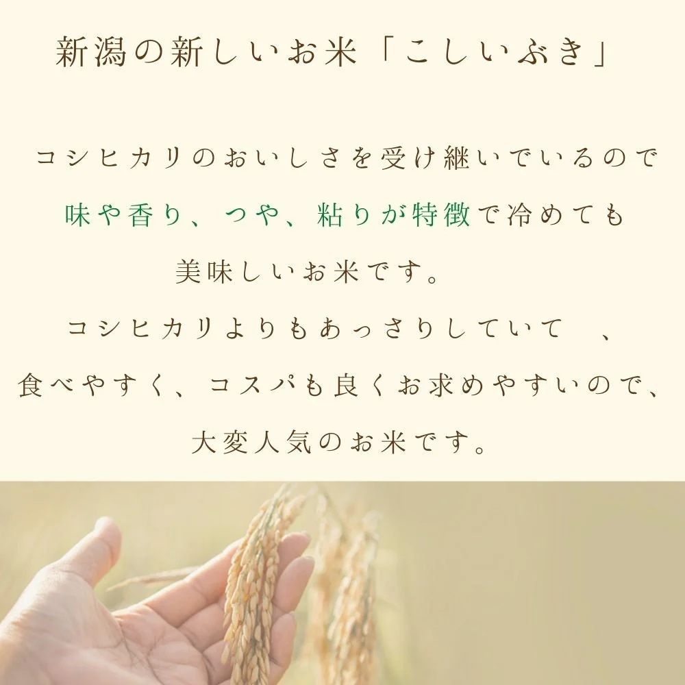 【最安値挑戦祭】【受注精米】新米 令和4年産 お米 送料無料 【 新潟県産 こしいぶき 】 5kg 新潟米