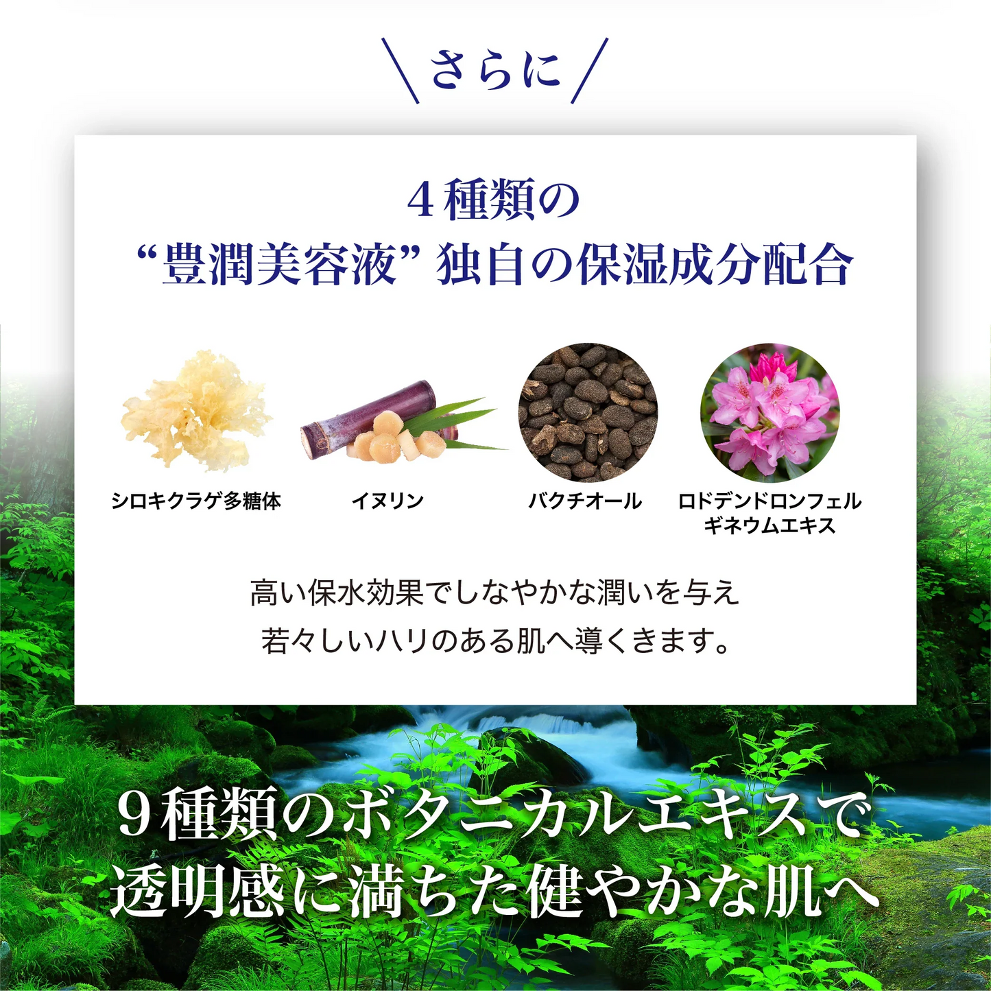 ハトムギ豊潤美容液 200ml 新商品 大容量 美容液 ポンプ式 保湿 浸透性 伸びやすい べたつかない ハトムギエキス 高配合 ハトムギ種子発酵液 コメ発酵液 弱酸性 無香料