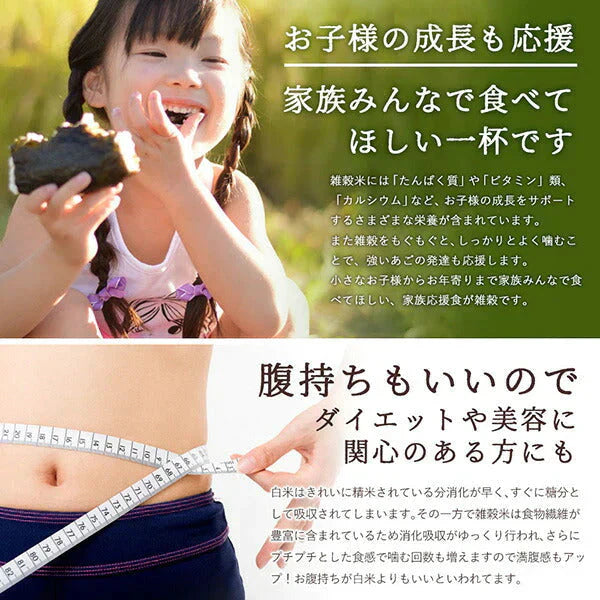 雑穀 雑穀米 国産 明日への輝き39穀米ブレンド 400g お試しサイズ 無添加 無着色 送料無料 ポスト投函【カウシェファーム収穫対象商品】