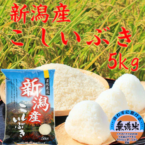 米5kg 無洗米 送料無料 新潟産 こしいぶき 米 5kg 無洗米 5キロ 農家直送 こしいぶき 5キロ 美味しいお米