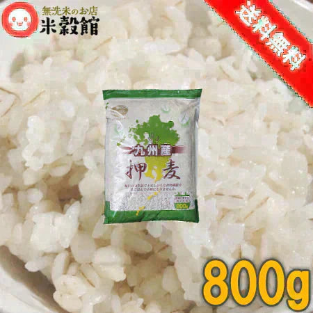 九州産 押麦 800g 大麦 麦とろごはんにも 麦ごはん 食物繊維 手軽 使いやすい ネコポス発送送料無料
