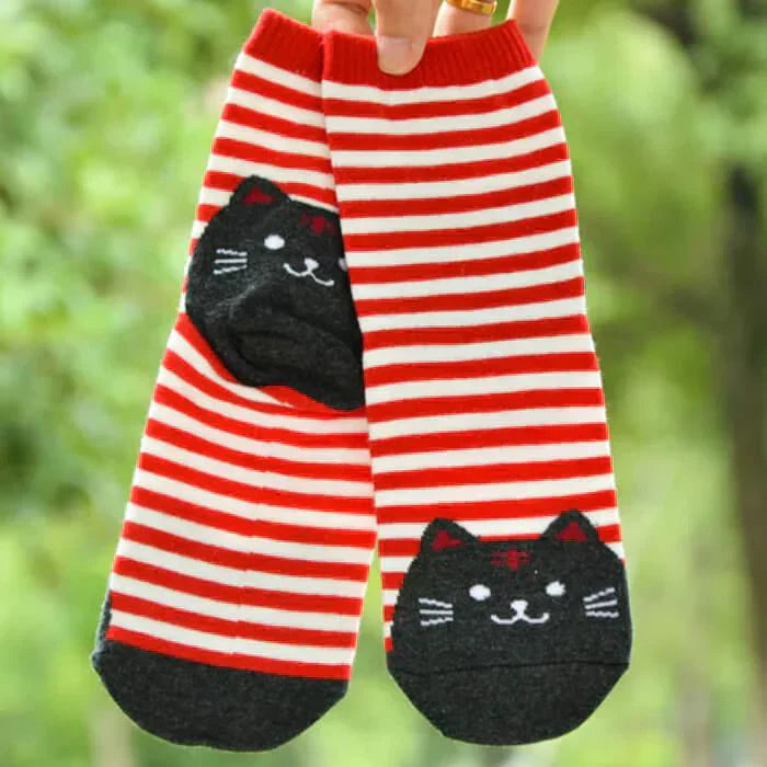 【予約商品・発送時期は商品説明に記載】猫靴下 6足セット 猫柄 ネコソックス かわいい ボーダー ショートソックス 肉球 ねこ 靴下 ネコ コットン くつ下 ソックス カジュアル 春 夏 秋 冬 女性 レディース 子供 送料無料