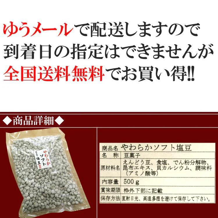 塩豆500g 飲食店御用達☆業務用500g入りソフト塩豆/常温/メー