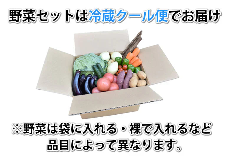 野菜セット 九州産 10~12品目 送料無料 お取り寄せ 80サイズ箱 詰め合わせ 【5~10営業日以内出荷(土日祝日除く)】やさい 産地直送 野菜 季節 旬 トマト きゅうり キャベツ かぼちゃ 小松菜 ほうれん草 人参 じゃがいも 玉ねぎ ごぼう ピーマン