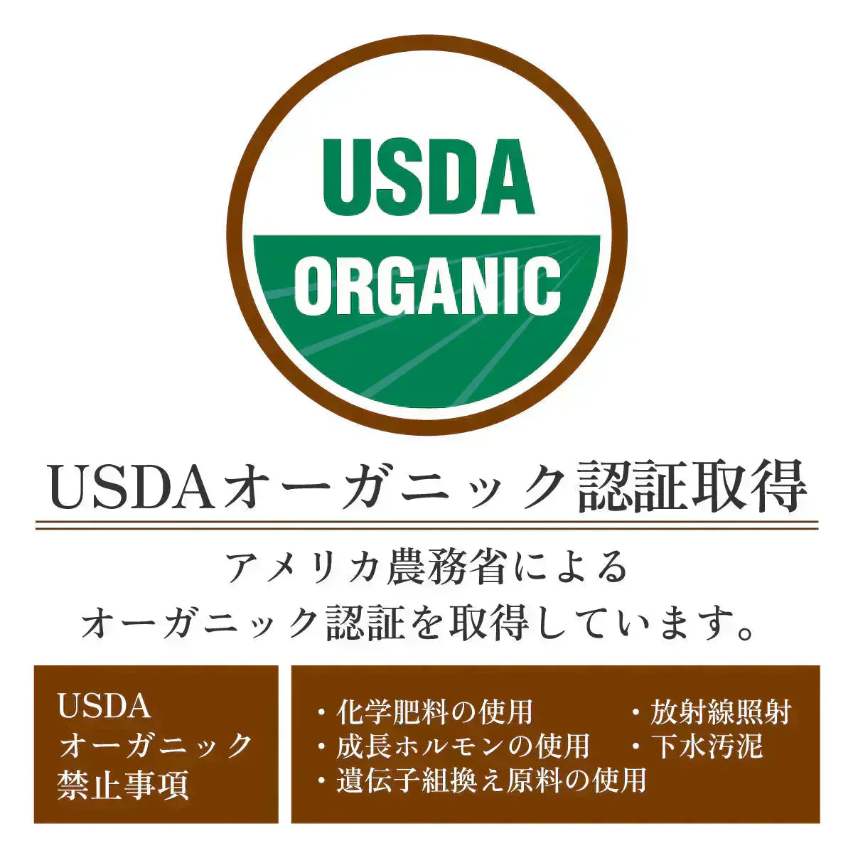セイロンシナモン シナモンパウダー セイロンシナモンパウダー 粉末 オーガニック セイロン シナモン 100% 有機 スリランカ 桂皮 肉桂 高級 100g 有機JAS認定 無添加 無農薬 スーパーフード 美容 健康 はちみつシナモン スパイス 香辛料 業務用