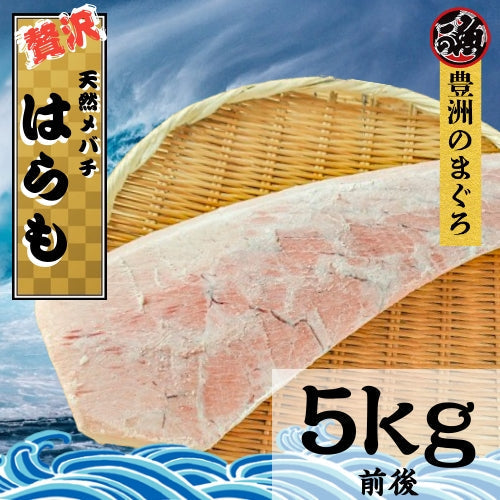 希少部位 ハラモ 5kg 天然 まぐろ メバチ 海鮮 刺身 照り焼き 塩焼き 煮物