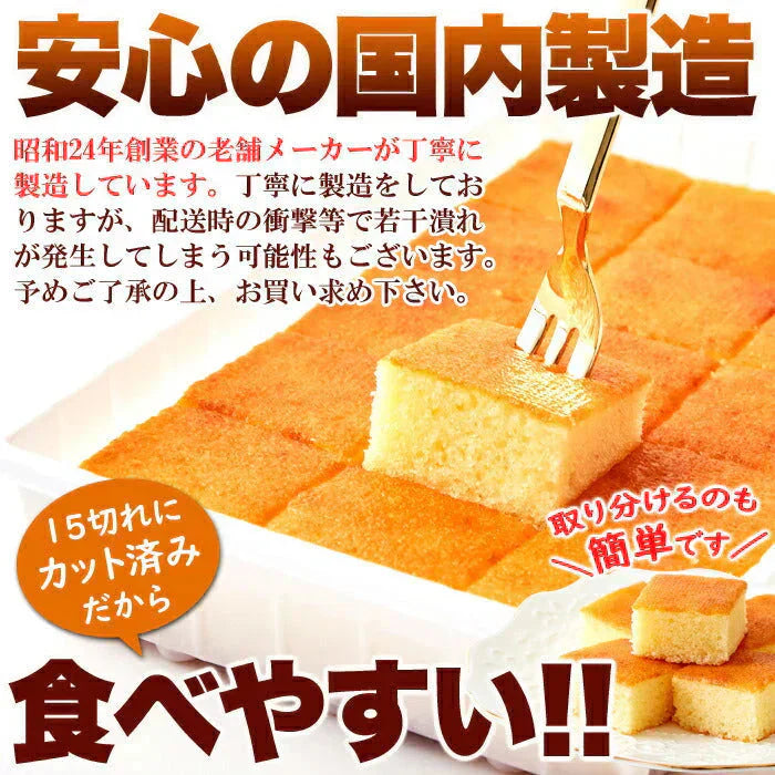 お試し ひとくち チーズケーキ 15切れ