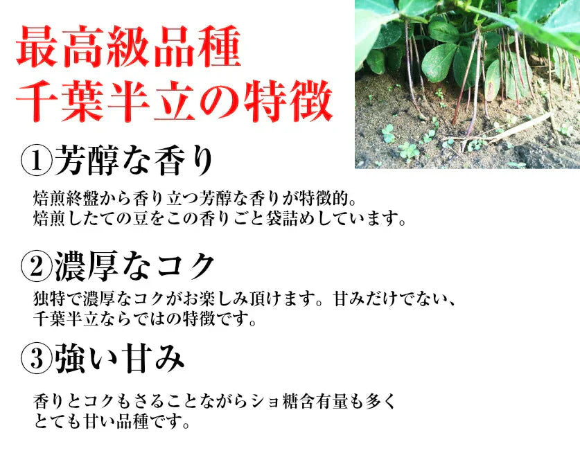 【大特価】お試し 千葉県産千葉半立 さや煎り落花生200g(100g×2袋) 国産 おつまみ グルメ おやつ 無添加