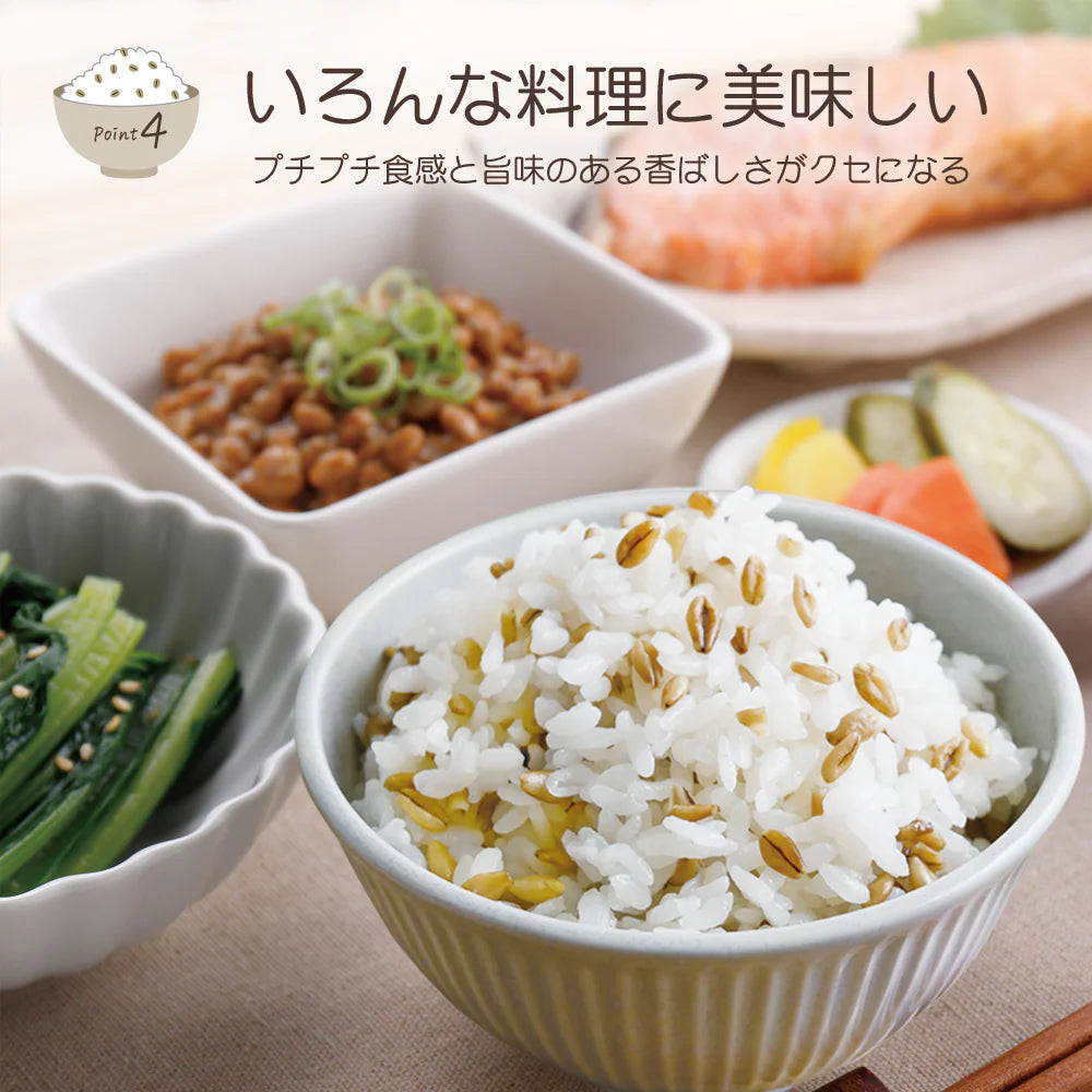 α化 スーパー大麦 800g/袋 バーリーマックス ダイエット 食物繊維 ミネラル スーパーフード 大麦 もち麦 玄麦 腸活 雑穀 レジスタントスターチ β-グルカン 糖質カット 糖質オフ 糖質制限