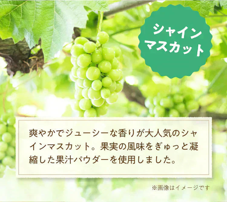 ★水出しOK★【約60杯分】アレンジルイボスティー シャインマスカット カップ用30個入 2袋セット(グリーンルイボスティー ティーバッグ ノンカフェイン ハーブティー)