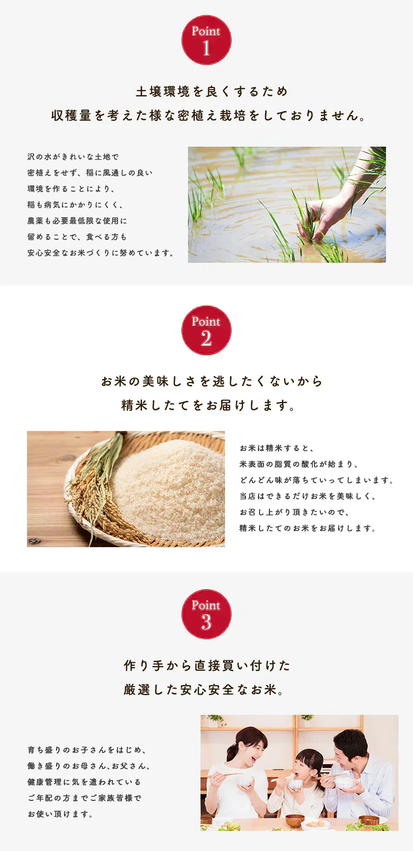 【ミルキークイーン 白米 20kg】令和7年産 秋田県産 ミルキークイーン20kg 5kg×4袋 厳選 送料無料 米 20kg 米びつ当番【天鷹唐辛子】プレゼント付き 白米