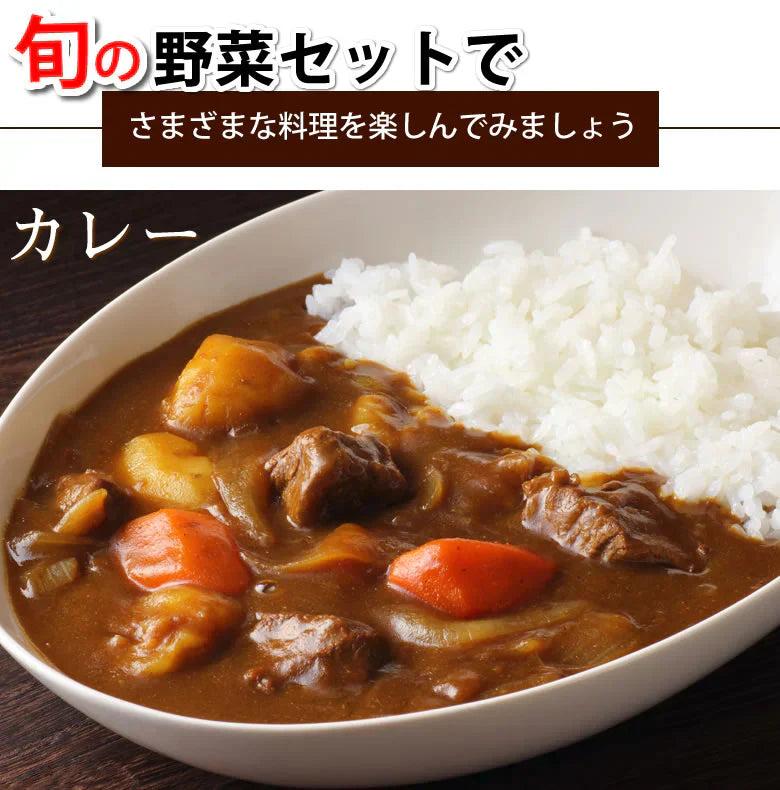 野菜セット 九州産 10~12品目 送料無料 お取り寄せ 80サイズ箱 詰め合わせ 【5~10営業日以内出荷(土日祝日除く)】やさい 産地直送 野菜 季節 旬 トマト きゅうり キャベツ かぼちゃ 小松菜 ほうれん草 人参 じゃがいも 玉ねぎ ごぼう ピーマン