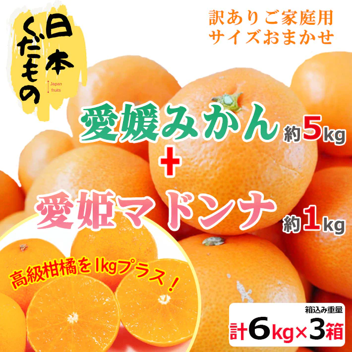 愛媛県産 ミカン5kg+マドンナ1kg×3箱 訳あり家庭用 柑橘
