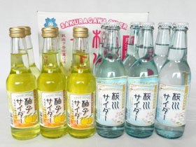 大阪府名産品 飲料 地サイダーセット 各6本入