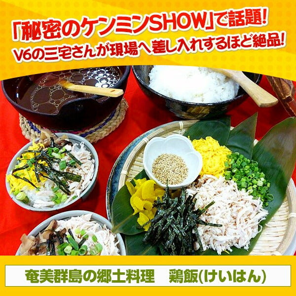 【3人シェア買いでお得】鹿児島県特産品 けいはん 鶏飯2膳前セット 5パック入り【お届け不可地域:北海道・沖縄・離島】