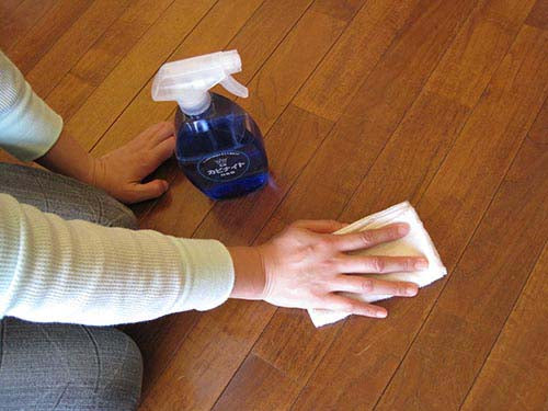 (500ml) 乳酸カビ取剤 カビナイト Neo