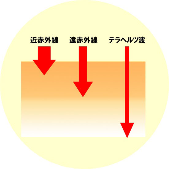 天然石 パワーストーン ネックレス ペンダント メンズ レディース テラヘルツ 勝負運 開運 ギフト プレゼント 父の日 母の日 敬老の日 誕生日