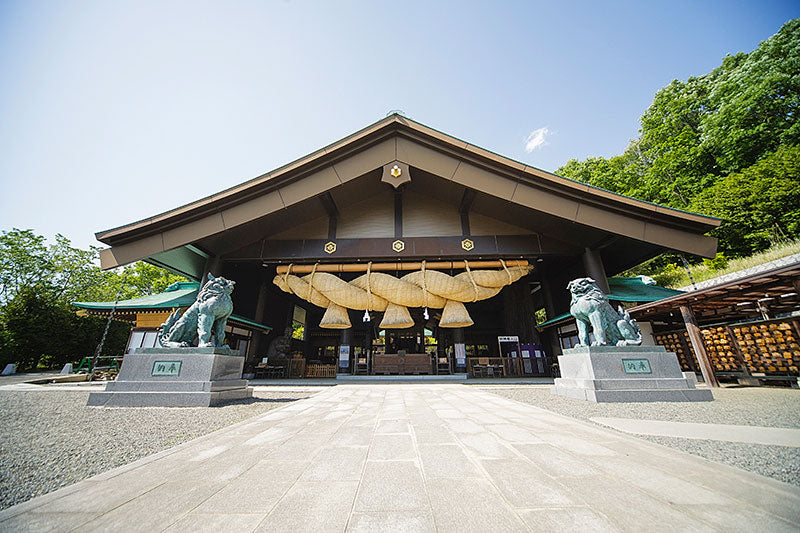 【キャメル】常陸国出雲大社祈祷 お薬手帳ケース 革 レザー おしゃれ 通帳ケース シンプル レディース メンズ 無地 上品 / 診察券 保険証 通院まとめ