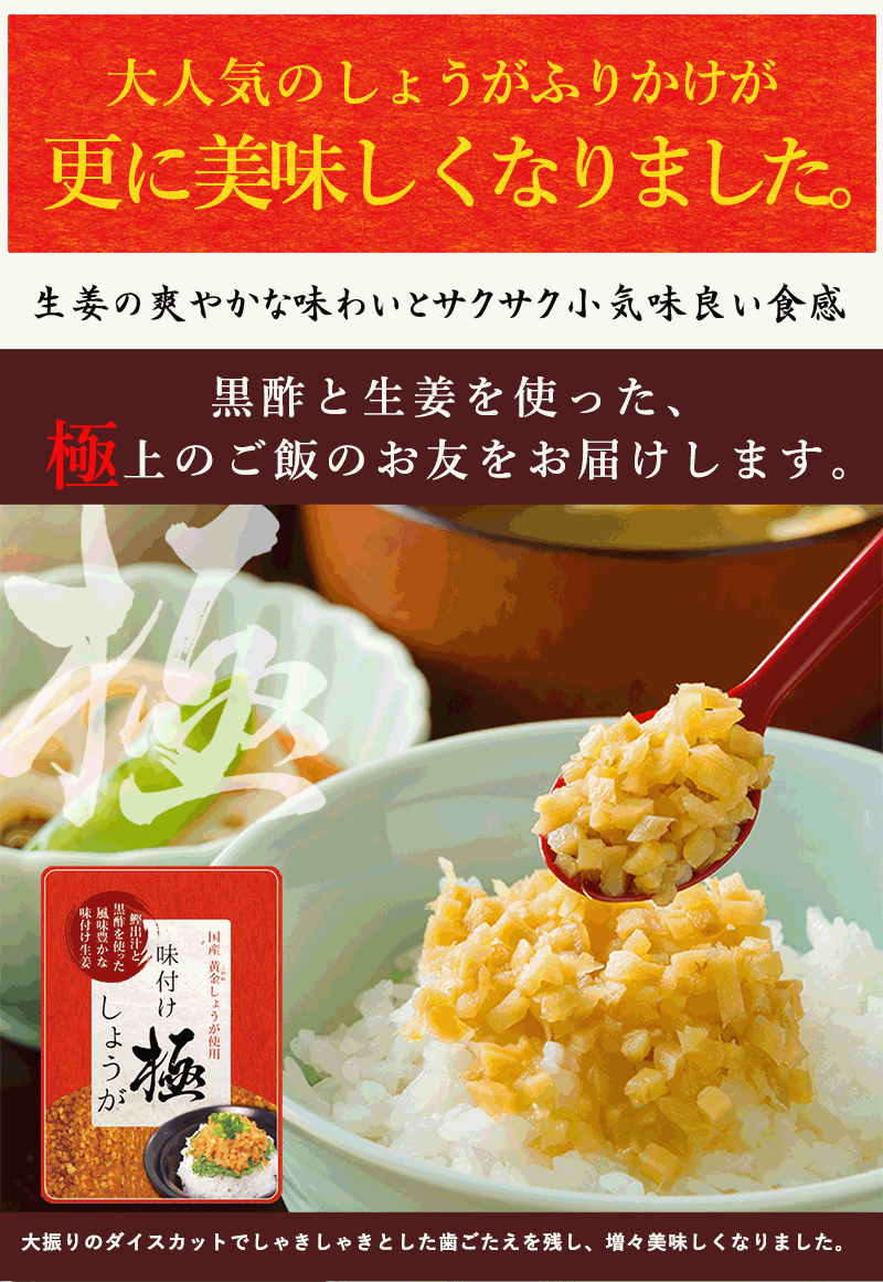 【10人シェア買いでお得】【送料無料】 サクサク味付け極しょうが 110g×40 【まとめ買い】 ふりかけ ご飯のお供 酢しょうが おかず生姜 万能調味料 生姜 しょうが ショウガ 国産