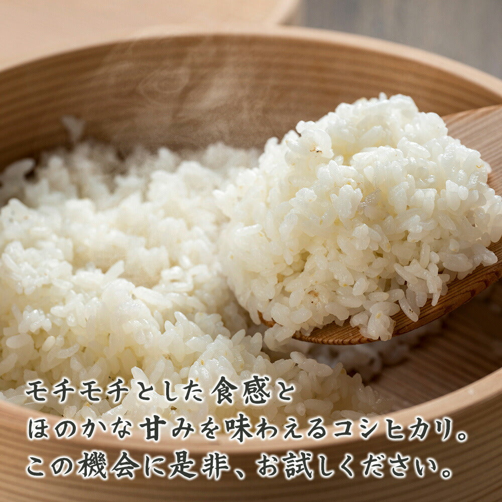 【白米】令和4年産 コシヒカリ 60kg(5kg×12袋) 宮崎県産 単一原料米 送料無料 精米工場からの直送品