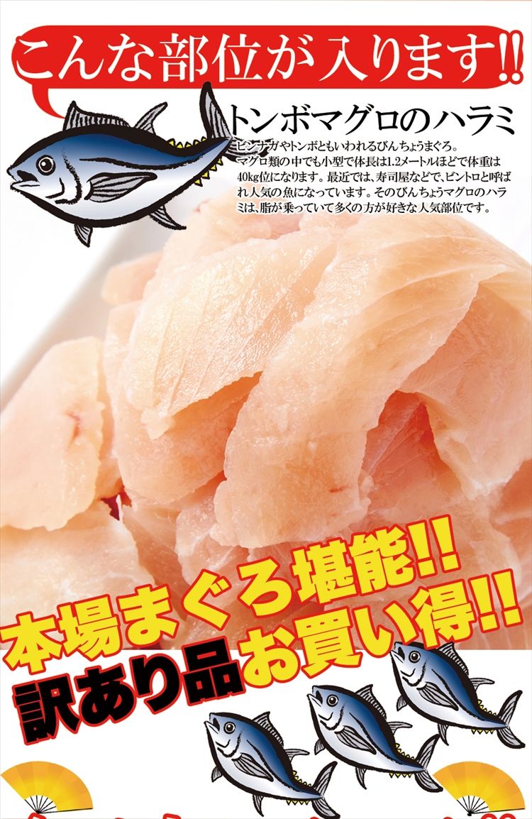 マグロ!!500g【訳あり】