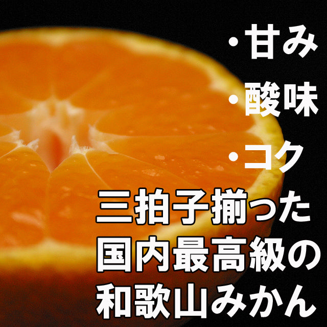訳あり和歌山みかん10kg プロ御用達