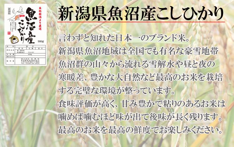 魚沼産こしひかり 魚沼産コシヒカリ900g(六合分)精米後すぐ発送