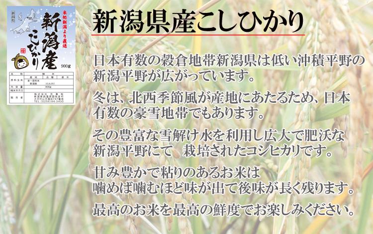 新潟産こしひかり900g(六合分)精米後すぐ発送
