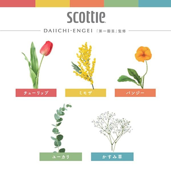 スコッティ (SCOTTIE) ティッシュペーパー フラワーボックス 320枚(160組)5箱×12パック(60箱)