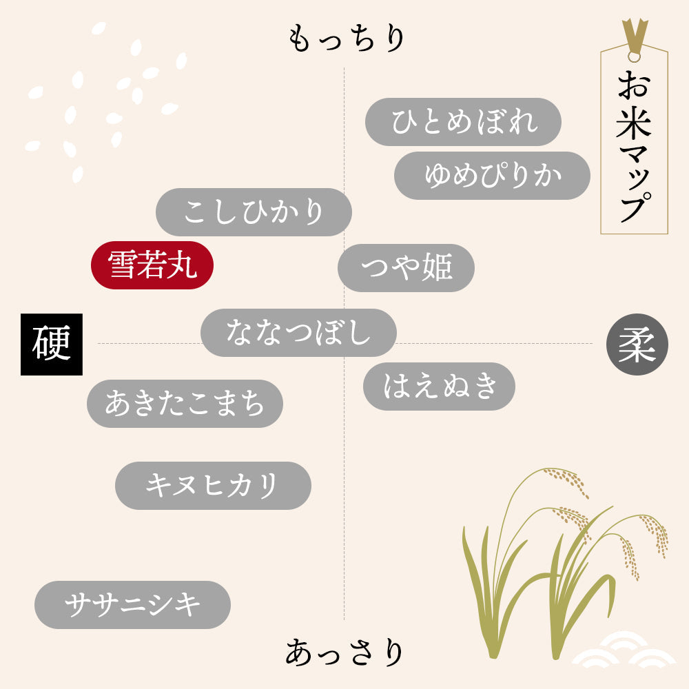 【30人シェア買いで20%OFF】雪若丸 10kg  令和3年 山形県産 送料無料【最安値に挑戦】