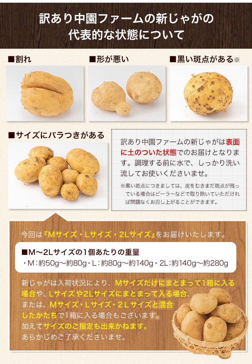 中園ファームのじゃがいも 新じゃが (馬鈴薯) 訳あり 4.5kg (M~2Lサイズ混合) 種子島産 ジャガイモ 芋 野菜 お取り寄せ