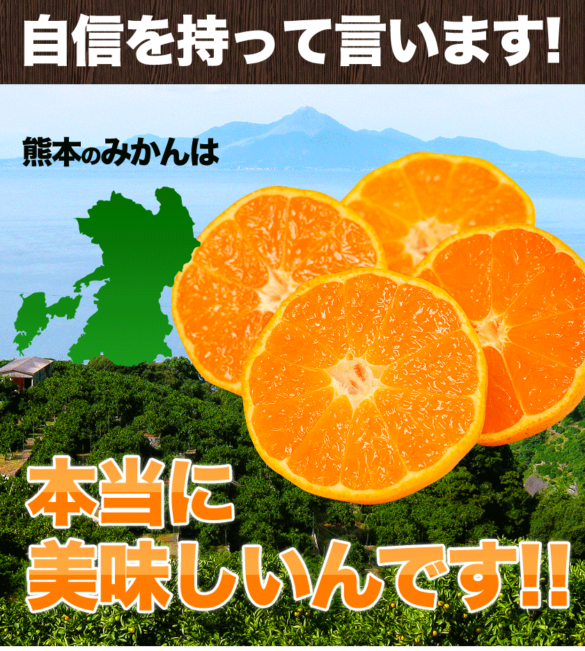 大粒 みかん 訳あり 4kg