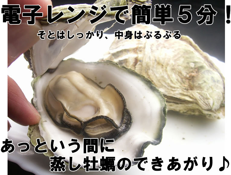 45~60個入り 岡山虫明産 曙牡蠣 2年物殻付きかき 加熱加工用