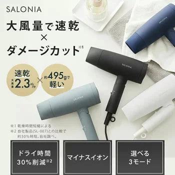SALONIA サロニア スピーディーイオンドライヤー SL-013GR グレー