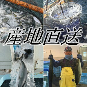 鹿児島産ぶり・冷凍 たたき 3パックセット(約200g/パック)