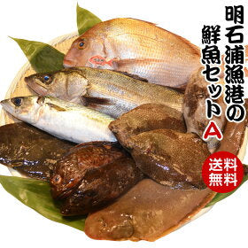 取れたて新鮮! 明石浦漁港の鮮魚セット5~6人前「鮮魚セットA」