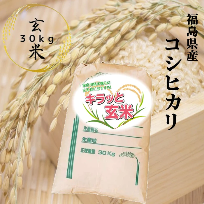 福島県産コシヒカリ 玄米 30kg(30kg×1袋)